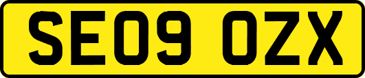 SE09OZX
