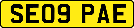 SE09PAE