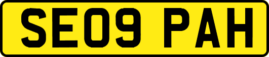 SE09PAH