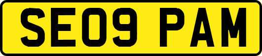 SE09PAM