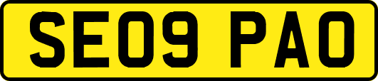 SE09PAO