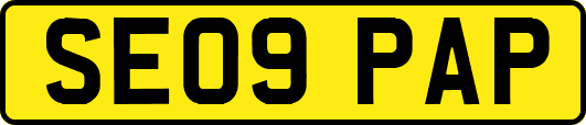 SE09PAP