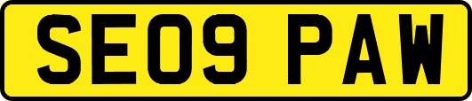 SE09PAW