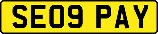 SE09PAY
