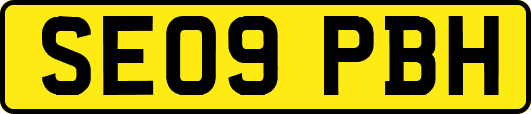 SE09PBH
