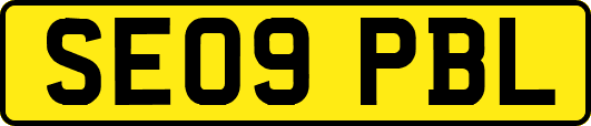 SE09PBL