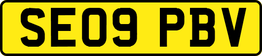 SE09PBV