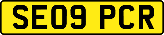 SE09PCR