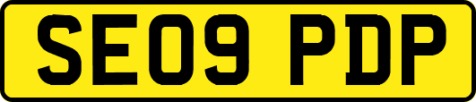 SE09PDP