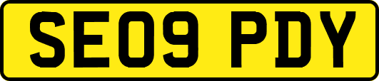 SE09PDY