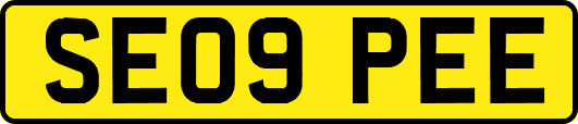SE09PEE