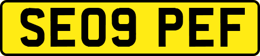 SE09PEF