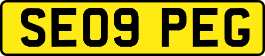 SE09PEG