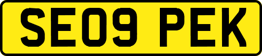 SE09PEK