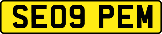 SE09PEM