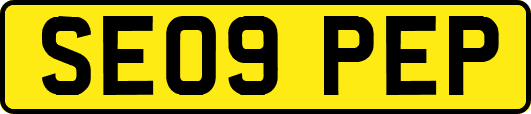 SE09PEP