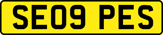 SE09PES