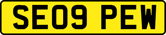 SE09PEW