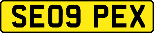 SE09PEX