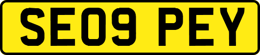 SE09PEY