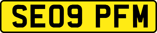 SE09PFM