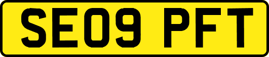 SE09PFT