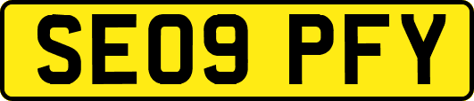 SE09PFY