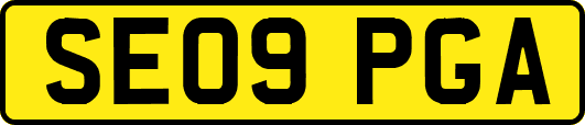 SE09PGA