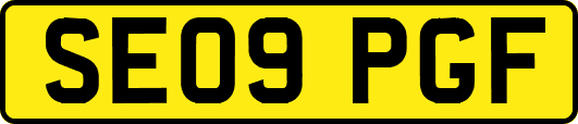 SE09PGF