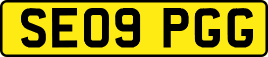 SE09PGG