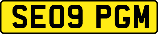 SE09PGM