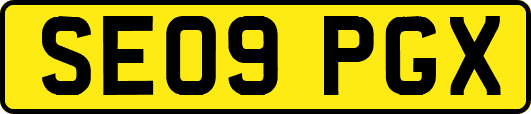 SE09PGX