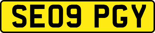 SE09PGY