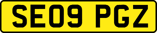 SE09PGZ