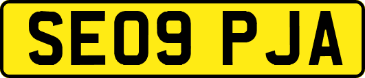 SE09PJA