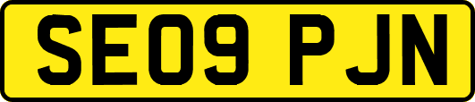 SE09PJN
