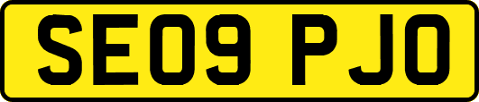 SE09PJO
