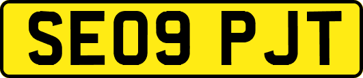 SE09PJT