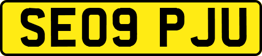 SE09PJU