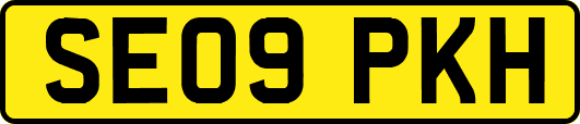SE09PKH