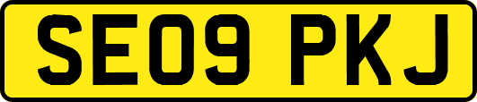 SE09PKJ