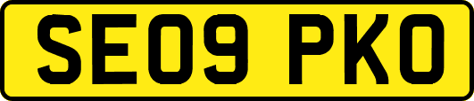 SE09PKO