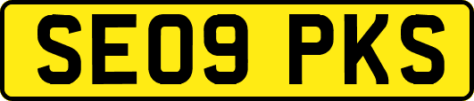 SE09PKS