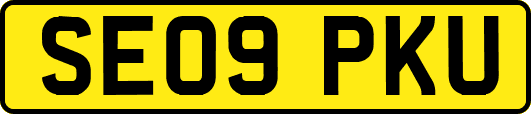 SE09PKU