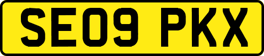 SE09PKX