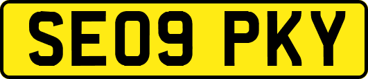 SE09PKY