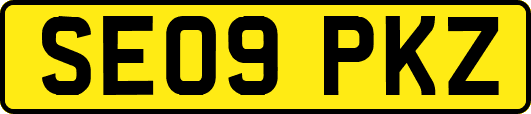 SE09PKZ