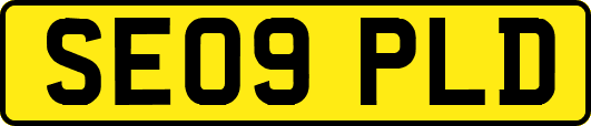 SE09PLD
