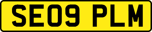 SE09PLM