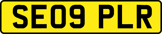SE09PLR